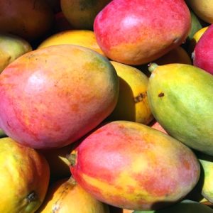 vinaigre de cidre artisanal
